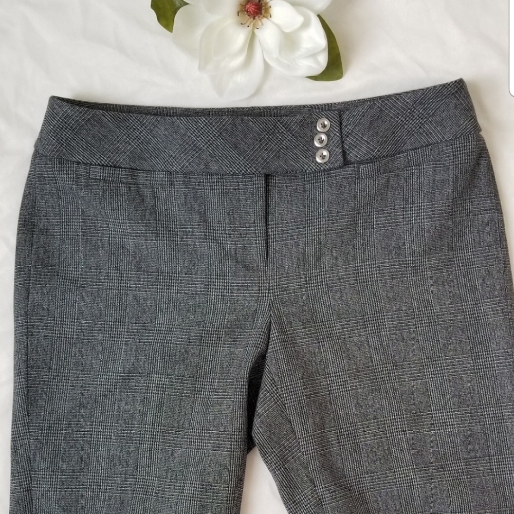 💕WHBM Modern Boot Cut Pants💕